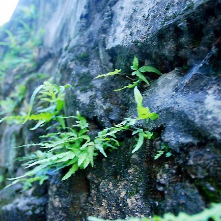 The Mountain Hotel Hangzhou Exterior foto